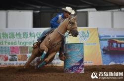 赤峰樂馭馬術(shù)館電話號(hào)碼查詢