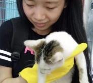 赤峰流浪貓狗救助站電話號碼