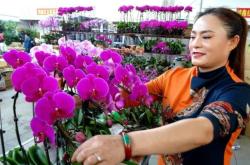 赤峰回收綠植電話號碼多少