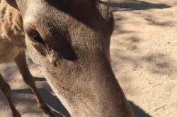 閑野咖啡店赤峰店電話號碼