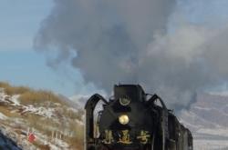 赤峰舊火車車廂出售電話號碼