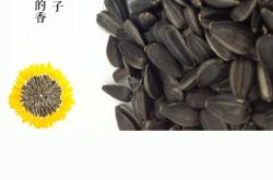 赤峰外貿(mào)零食電話多少號(hào)