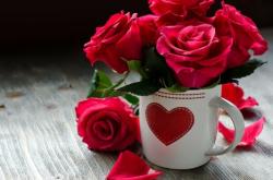 赤峰花思語花店電話號碼查詢