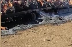 赤峰天然草捆出售電話號碼是多少