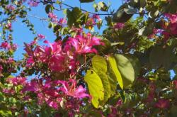 赤峰花花牛飲料廠地址電話號碼