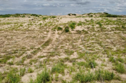 赤峰沐浴露源頭廠家電話號(hào)碼