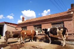 赤峰紅山區(qū)冷飲店電話號碼