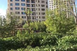 赤峰香格里拉售樓處電話號碼