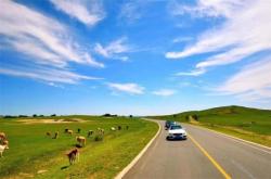 赤峰拉羊運輸公司電話號碼查詢