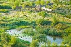 赤峰辦公集裝箱房出租電話號碼