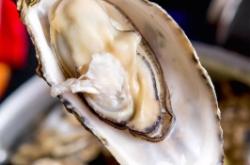 赤峰博仔海鮮店電話地址查詢