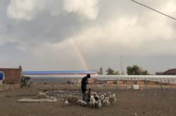 赤峰賣狗基地電話多少號