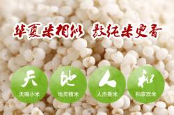 赤峰敖漢奶茶店電話號(hào)碼多少