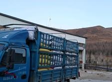 赤峰平莊行李箱回收電話號碼