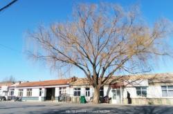 赤峰紅廟子鎮(zhèn)武裝部電話號(hào)碼