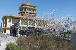 赤峰紅山區(qū)買菜配送電話號(hào)碼