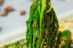 赤峰秦家燒烤店地址電話號(hào)碼