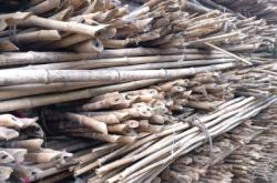 赤峰市賣(mài)竹竿廠(chǎng)家電話(huà)號(hào)碼