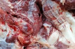 赤峰賣鮮驢肉電話多少號(hào)啊