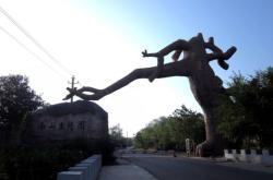 赤峰市紅山區(qū)國稅局