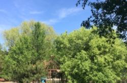 赤峰紅山區(qū)社保局電話是多少