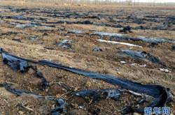 赤峰市寧城縣民委電話(huà)號(hào)碼