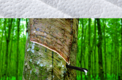 赤峰收彈簧床墊的地方電話號(hào)碼