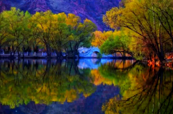 赤峰橋北賣豬肉的地方電話號(hào)碼