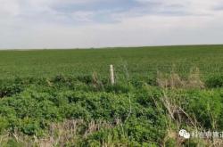 赤峰強潤奶牛場地址電話號碼