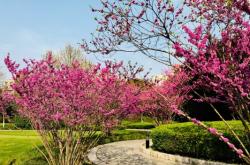 赤峰四季雅苑物業(yè)電話號(hào)碼