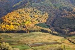 赤峰茗雅茶樓電話多少號碼