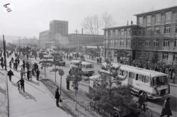 赤峰頭道街獸藥店電話(huà)地址查詢(xún)