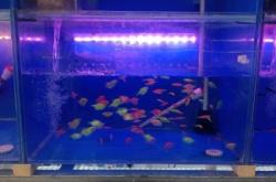 赤峰魚缸管道組裝廠電話號(hào)碼