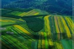 赤峰自粘壁紙廠家電話號(hào)碼