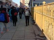 赤峰阿旗牧草收購電話號碼是多少