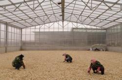 赤峰牛營子酒店電話多少號(hào)