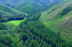 赤峰市松山蒙中