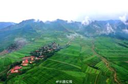 赤峰中糧屠宰場(chǎng)銷售電話號(hào)碼