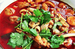 赤峰芋兒雞加盟電話號(hào)碼多少