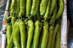 赤峰蔬菜團購群電話號碼查詢