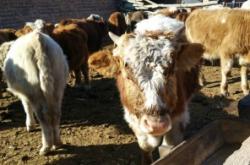 赤峰平莊佳佳超市地址電話號碼