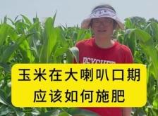 赤峰市玉米追肥廠家電話號(hào)碼