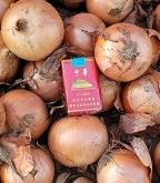 赤峰千畝大蔥基地地址電話號(hào)碼