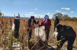 赤峰混合氣供應(yīng)商電話號碼