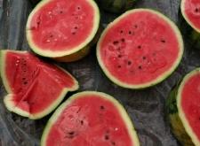 赤峰甜王西瓜種植基地電話號碼