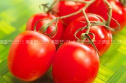 赤峰玉米合作社電話多少號(hào)