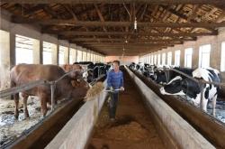 赤峰動物實驗臺電話多少號