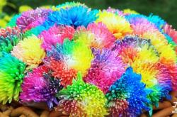 赤峰炫彩養(yǎng)生館電話號碼查詢