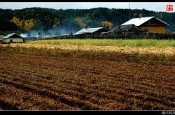 赤峰鴻鳥燒烤地址查詢電話號碼