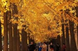 赤峰釣魚臺(tái)烤梨地址電話號(hào)碼